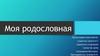 Моя родословная. Саламадина Виктория