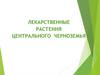 Лекарственные растения Центрального Черноземья России