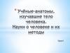 Учёные-анатомы изучавшие тело человека. Науки о человеке