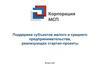 Поддержка субъектов малого и среднего предпринимательства, реализующих стартап-проекты