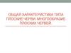 Общая характеристи­ка типа Плоские чер­ви. Многообразие плоских червей
