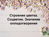 Строение цветка. Соцветие. Значение оплодотворения