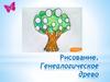 Рисование. Генеалогическое древо