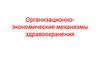 Организационно-экономические механизмы здравоохранения