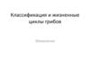 Классификация и жизненные циклы грибов