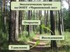 Экологические тропы на ООПТ «Черняевский лес»