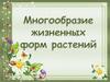 Многообразие жизненных форм растений