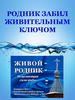 Родник забил живительным ключом, село Шабуры