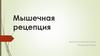 Мышечная рецепция