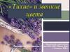 «Тихие» и звонкие цвета