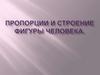 Пропорции и строение фигуры человека