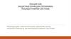 Защитные функции организма. Ноцицептивная система