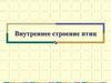 Внутреннее строение птиц