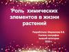Роль химических элементов в жизни растений