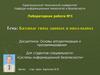 Базовые типы данных и ввод-вывод. Лабораторная работа №1