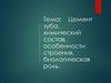 Цемент зуба, химический состав, особенности строения, биологическая роль