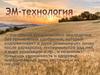 ЭМ-технология