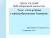 Анаэробные споро-необразующие бактерии