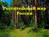 Растительный мир России