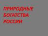 Природные богатства России