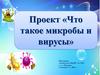 Проект «Что такое микробы и вирусы»