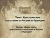 Крестьянские восстания в Англии и Франции в XIV веке
