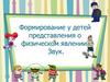 Формирование у детей представления о физическом явлении. Звук