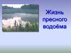 Жизнь пресного водоёма