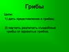 Грибы