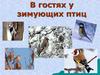 В гостях у зимующих птиц