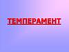 Темперамент
