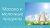 Молоко и молочные продукты