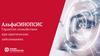 AlfaSynopsis Гарантия спокойствия при критических заболеваниях