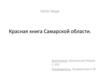 Красная книга Самарской области. Фиолетовый паутинник