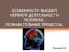 Особенности высшей нервной деятельности человека. Познавательные процессы
