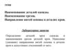 Наименование деталей одежды. Наименование срезов. Направление нитей основы в деталях кроя