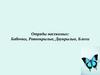 Отряды насекомых: Бабочки, Равнокрылые, Двукрылые, Блохи