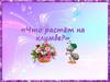 Что растёт в клумбе?