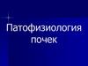 Патофизиология почек