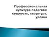 Профессиональная культура педагога: сущность, структура, уровни