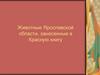 Животные Ярославской области, занесенные в Красную книгу