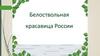 Белоствольная красавица России