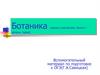 Ботаника (наука о растениях, ботанэ – зелень, трава)