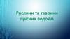 Рослинний світ прісних водойм