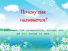 Почему так называется