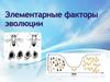 Элементарные факторы эволюции