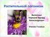 Растительный организм
