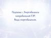 Энергобалансы потребителей ТЭР. Виды энергобалансов. Подтема 1