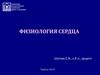 Физиология сердца