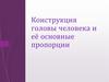 Конструкция головы человека и её основные пропорции